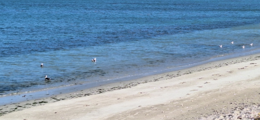 0 Bedroom Property for Sale in Parkersdorp Western Cape